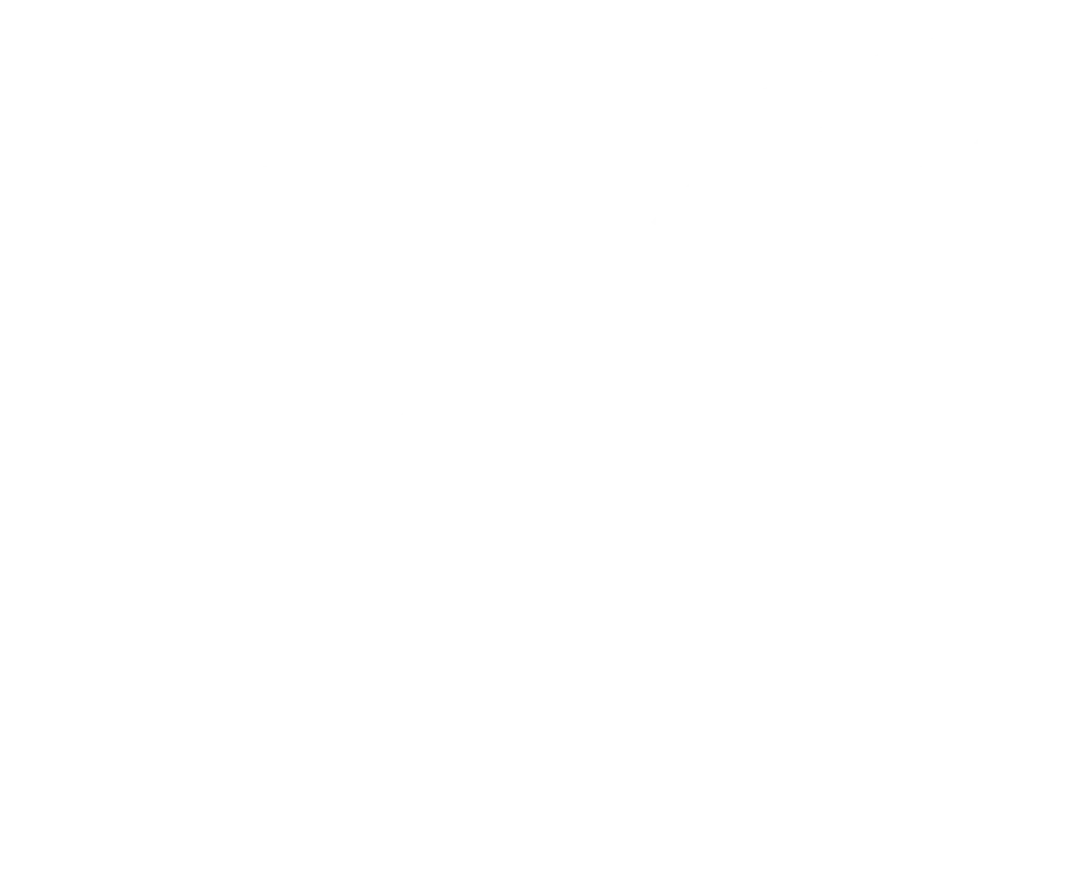 NESR logo – oilfield services client of Intelie operational AI