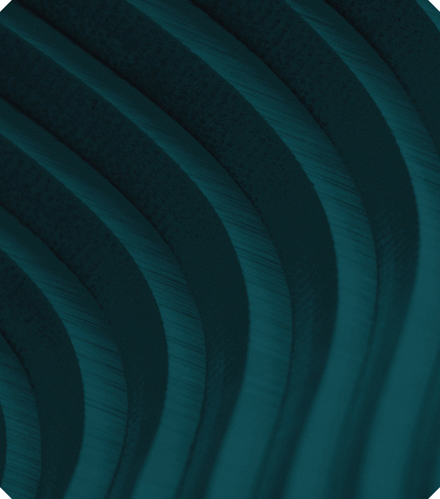 Close-up of dark teal curved, ribbed structures with textured, layered surfaces.