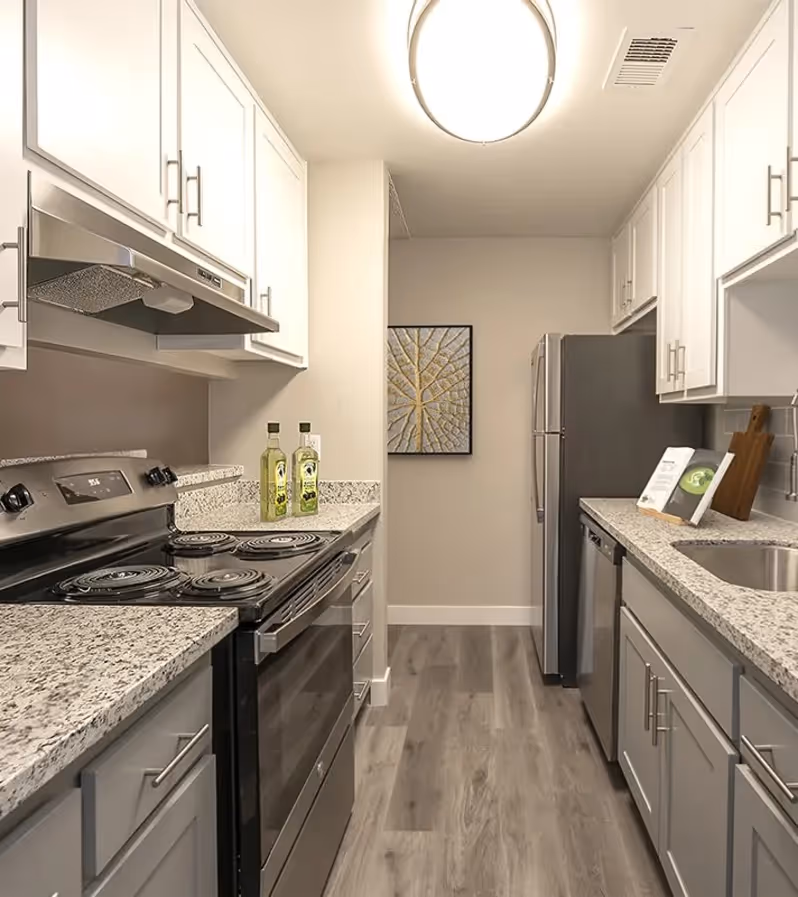 Apartment kitchen