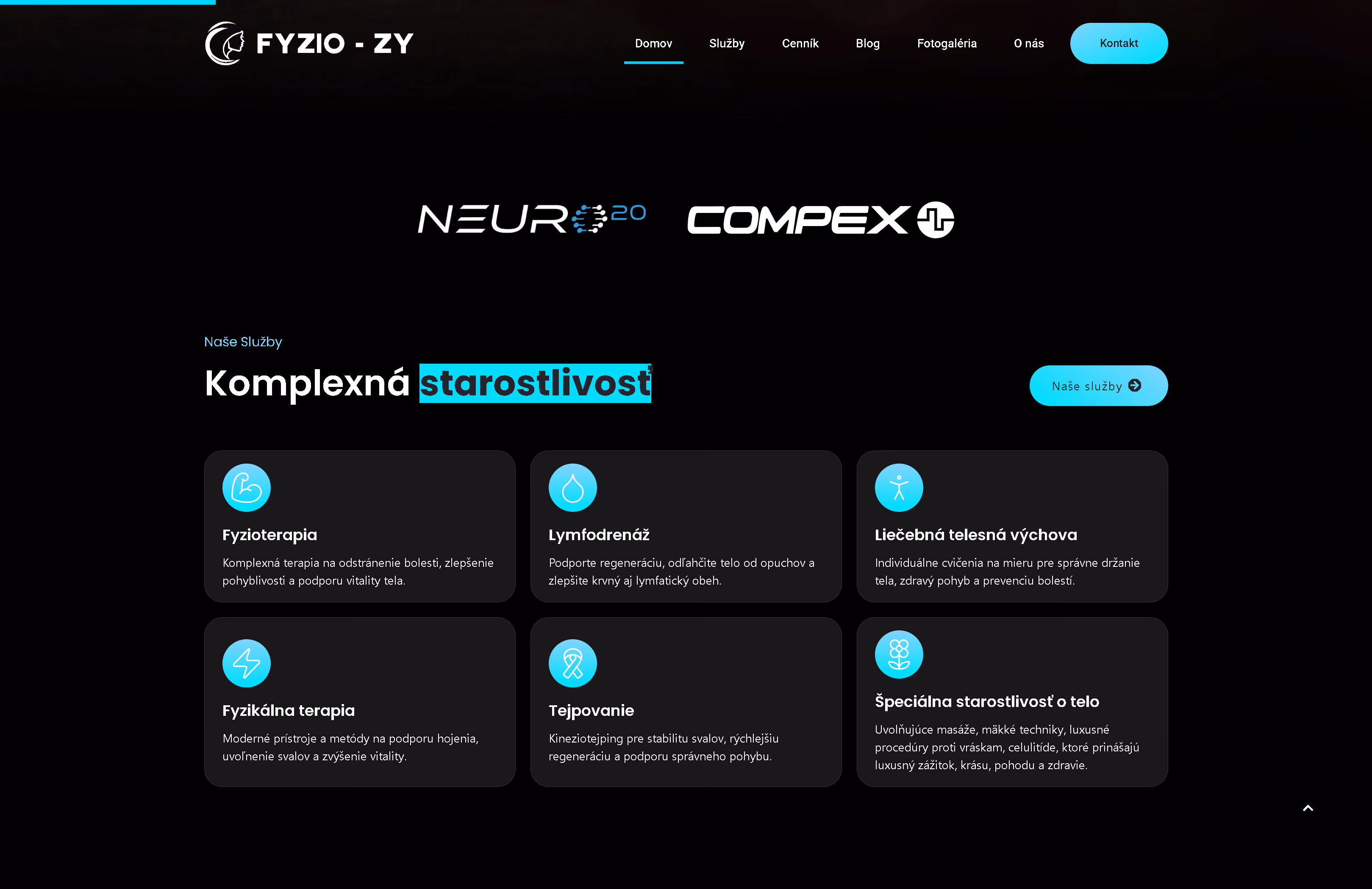 FYZIO ZY responsive website presentation on a MacBook
