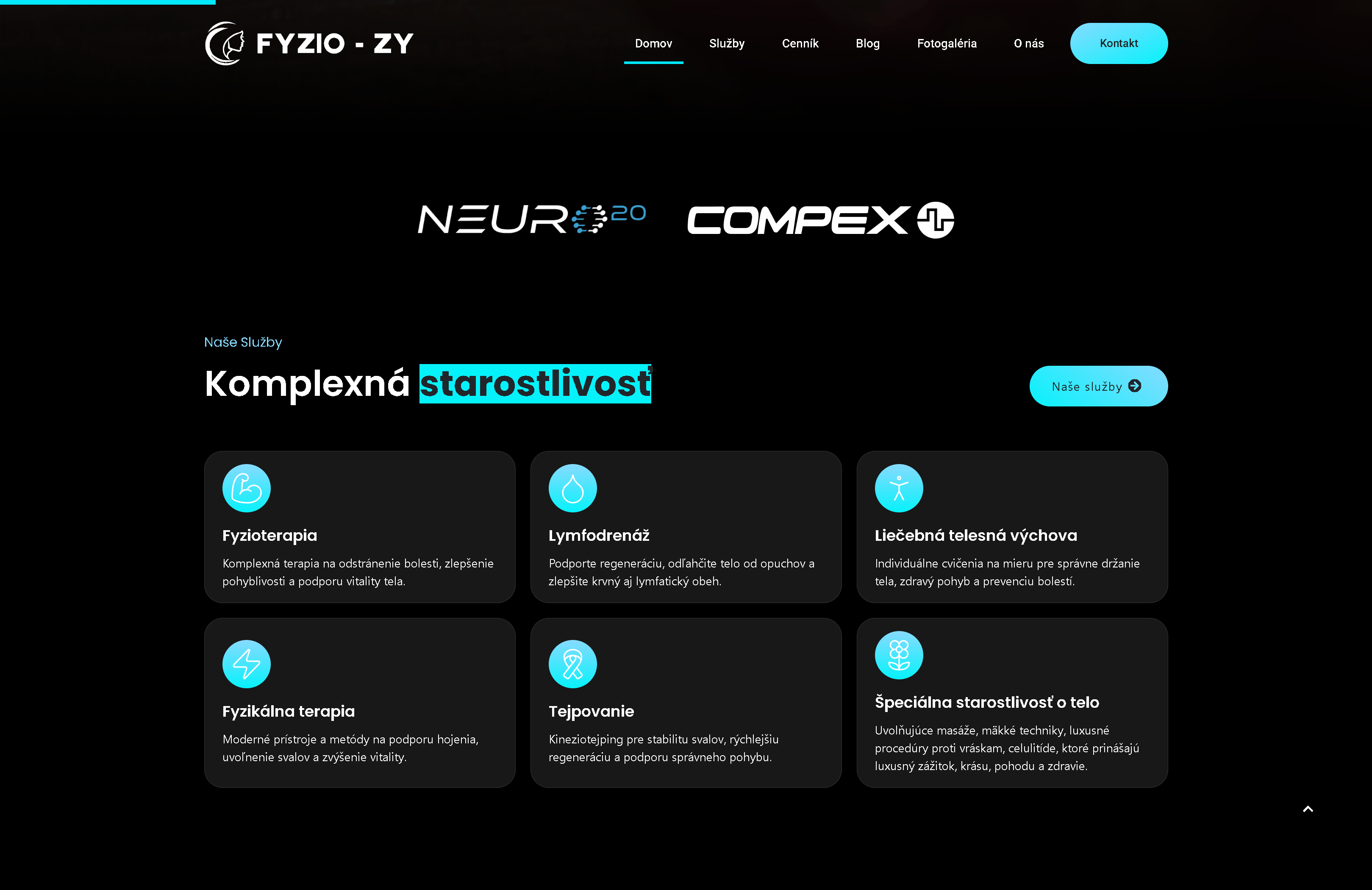 FYZIO ZY responsive website presentation on a MacBook