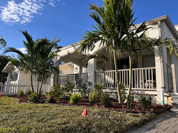 tampa bay front yard landscape design and installation with palm trees, mulch beds, and tropical plants