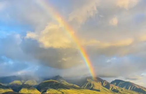 Central Maui