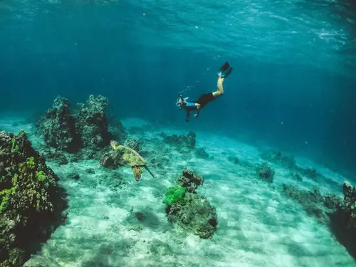 South Maui · Adventure