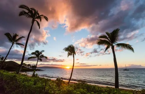 South Maui · Honeymoon