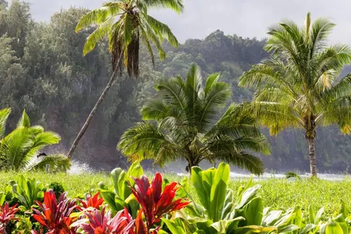 Road to Hāna · Couples