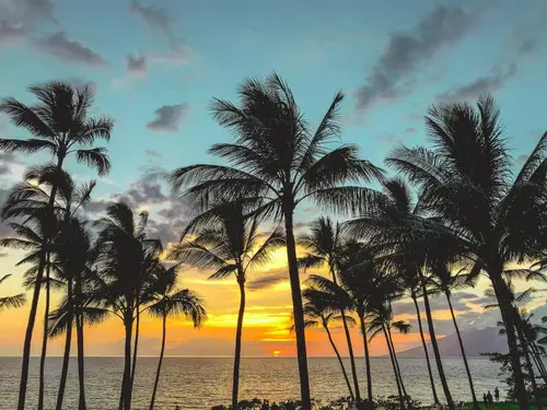 North Shore · Solo