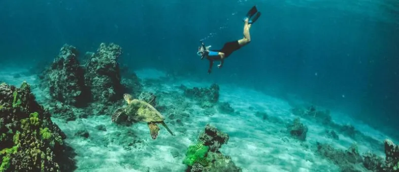 South Maui · Adventure