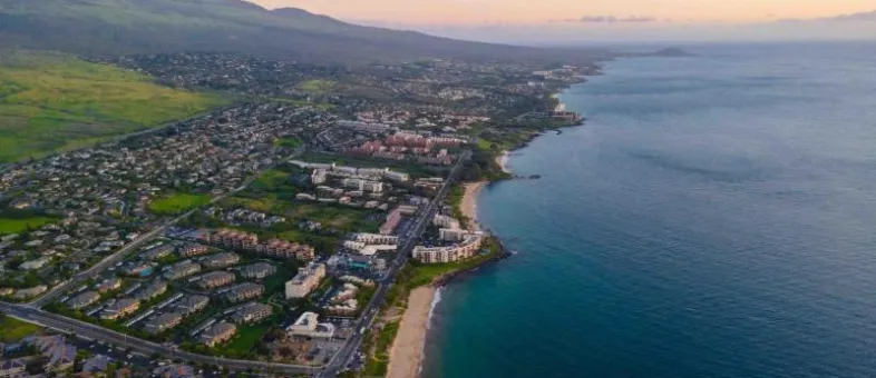 South Maui · Solo