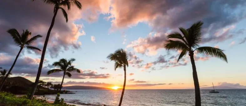 South Maui · Honeymoon