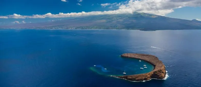 Central Maui · Families with Older Kids