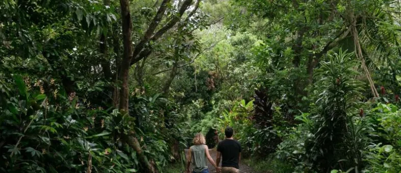 North Shore · Families with Older Kids
