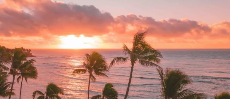 Central Maui · Honeymoon