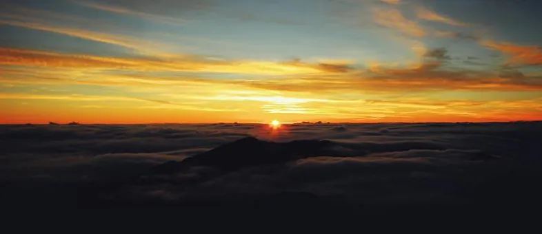 Upcountry · Honeymoon