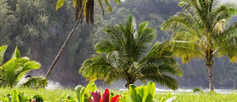 Road to Hāna · Couples