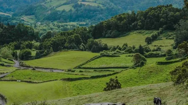 Upcountry
