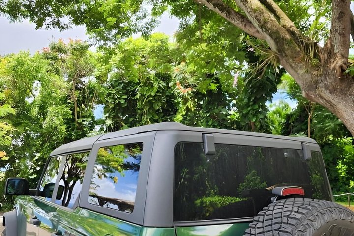 Private SUV Deluxe Hana Tour Scenic Road Adventure — photo 3