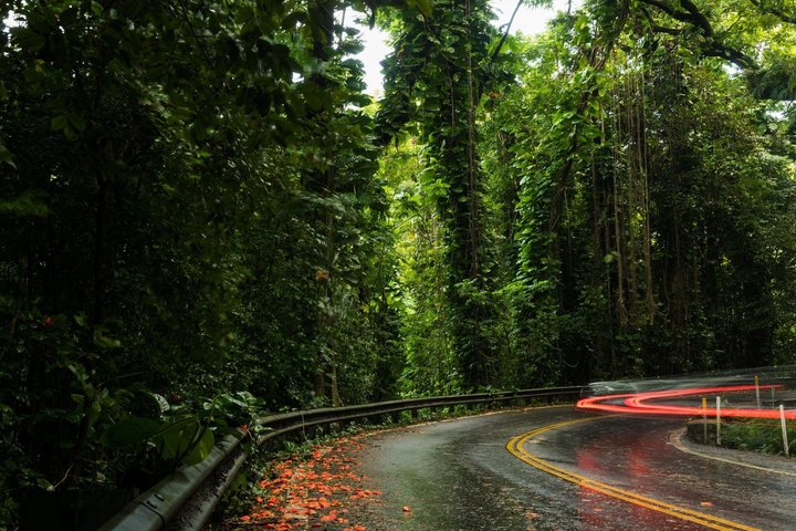 Private SUV Deluxe Hana Tour Scenic Road Adventure — photo 4