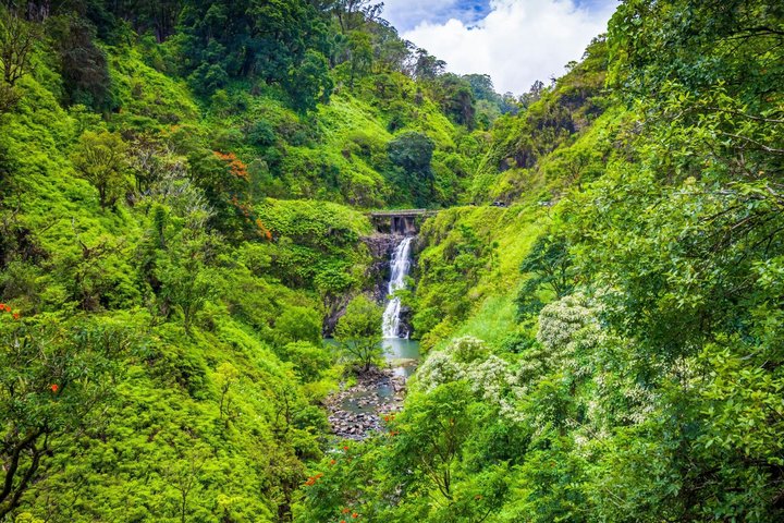 Private SUV Deluxe Hana Tour Scenic Road Adventure — photo 7