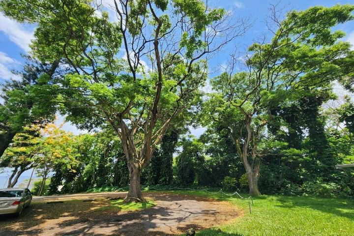 Private SUV Deluxe Hana Tour Scenic Road Adventure — photo 9