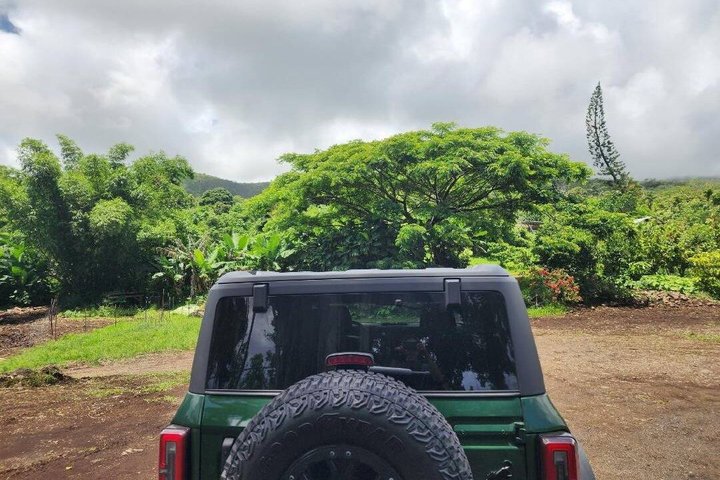 Private SUV Deluxe Hana Tour Scenic Road Adventure — photo 10