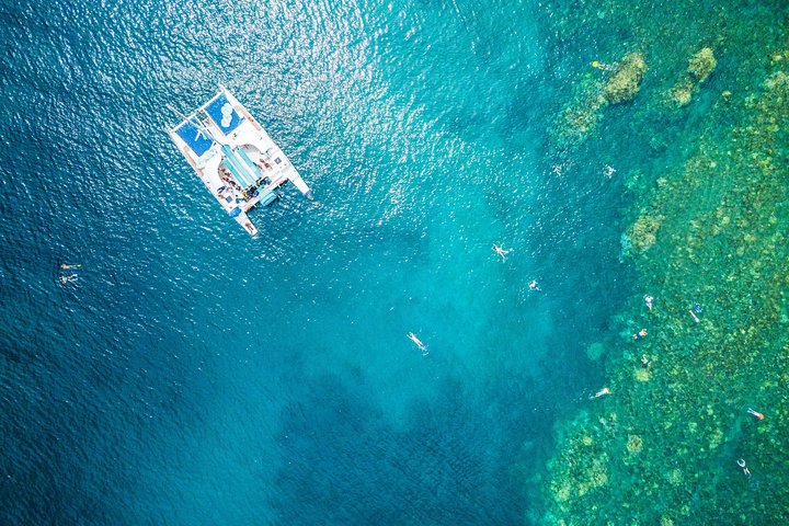 West Maui Half Day Snorkel from Ka’anapali Beach