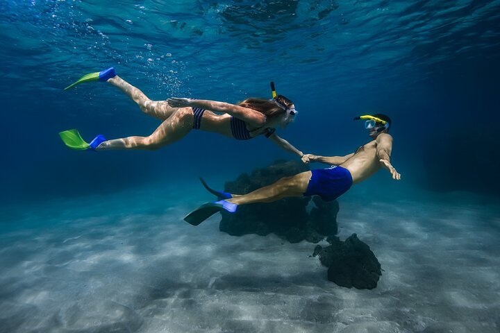 Turtle Town Snorkel With Photo and Video: Turtle Guarantee