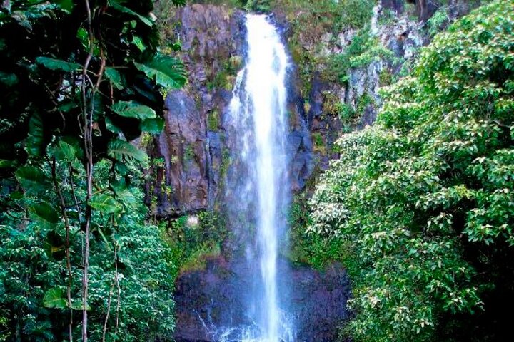 Maui: Small Group Road to Hāna Tour 6 to 8 passengers