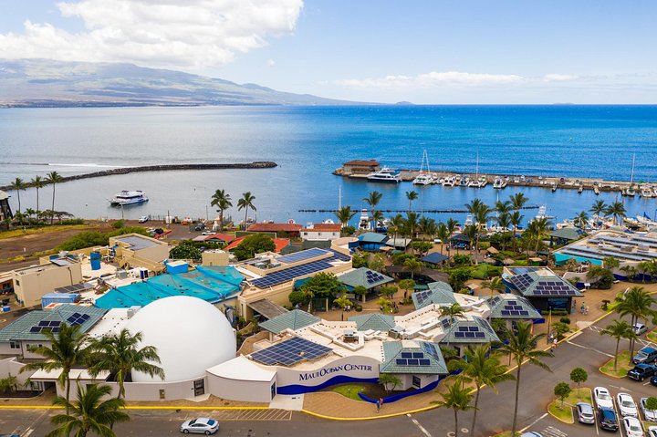 Maui Ocean Center All Day Admission Ticket