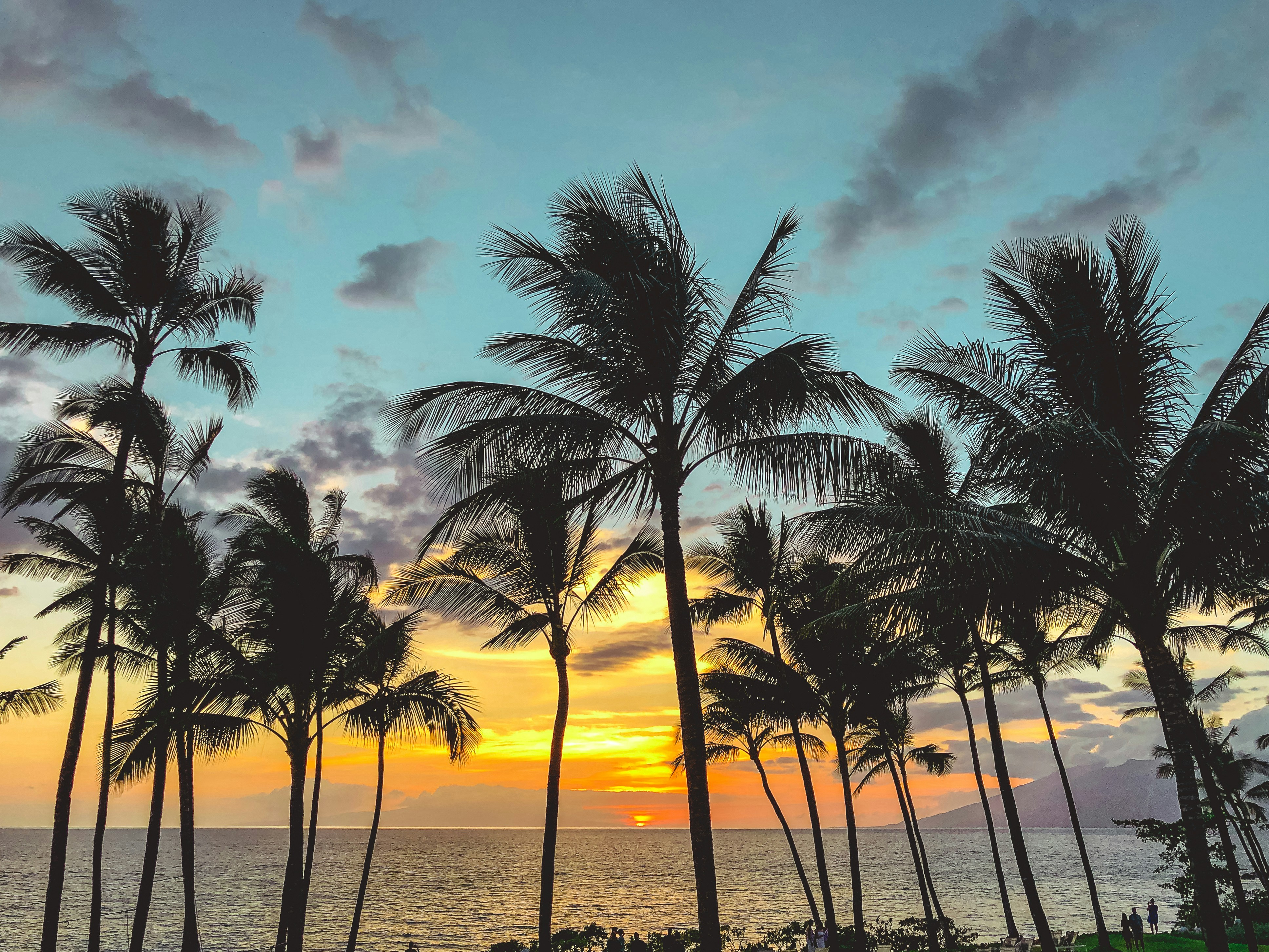 Silhouetted palm trees against a vivid orange Maui sunset sky