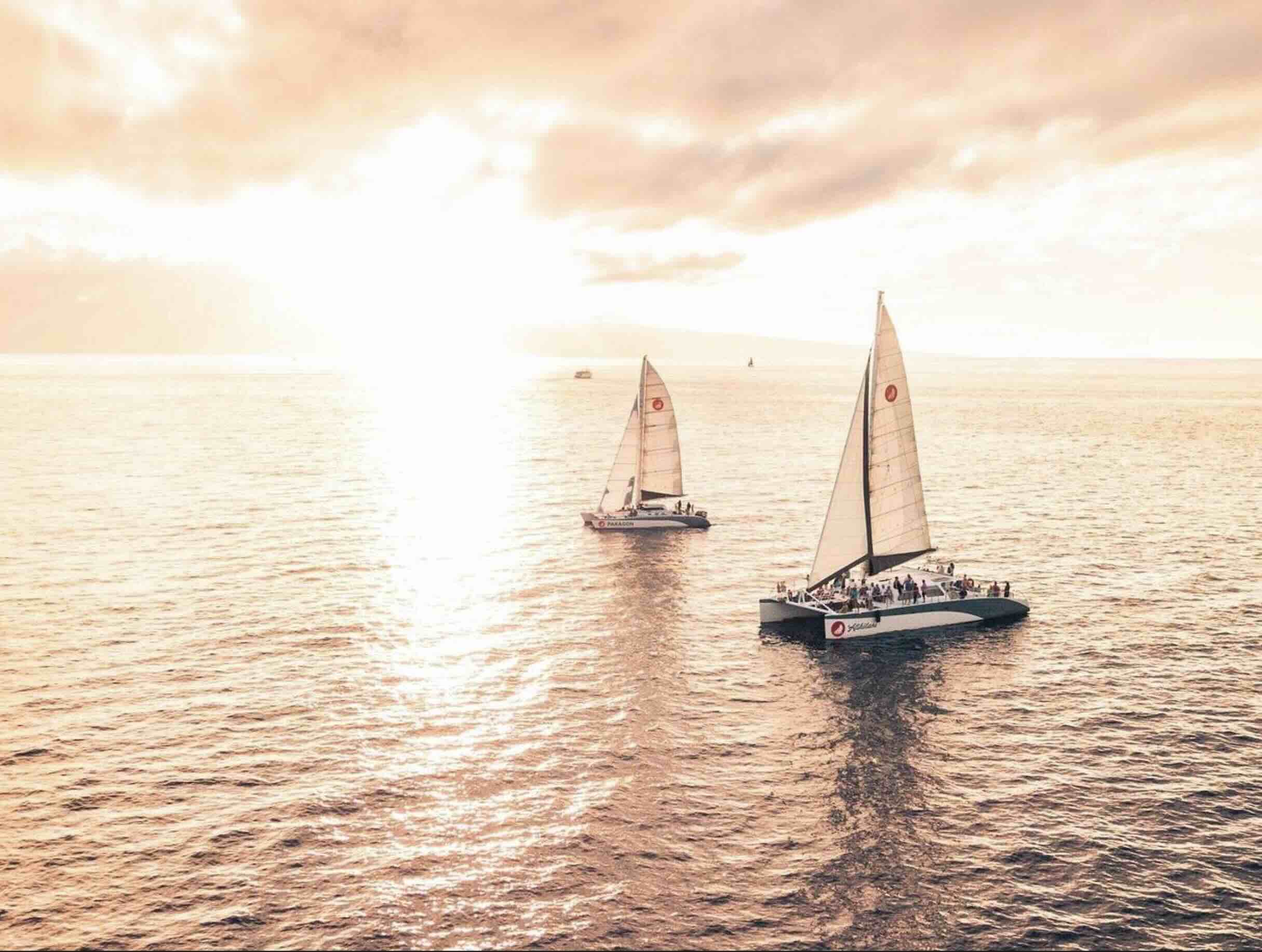 Two catamarans under sail on calm water off the Maui coast beneath a low sun, the sea and sky washed pale gold