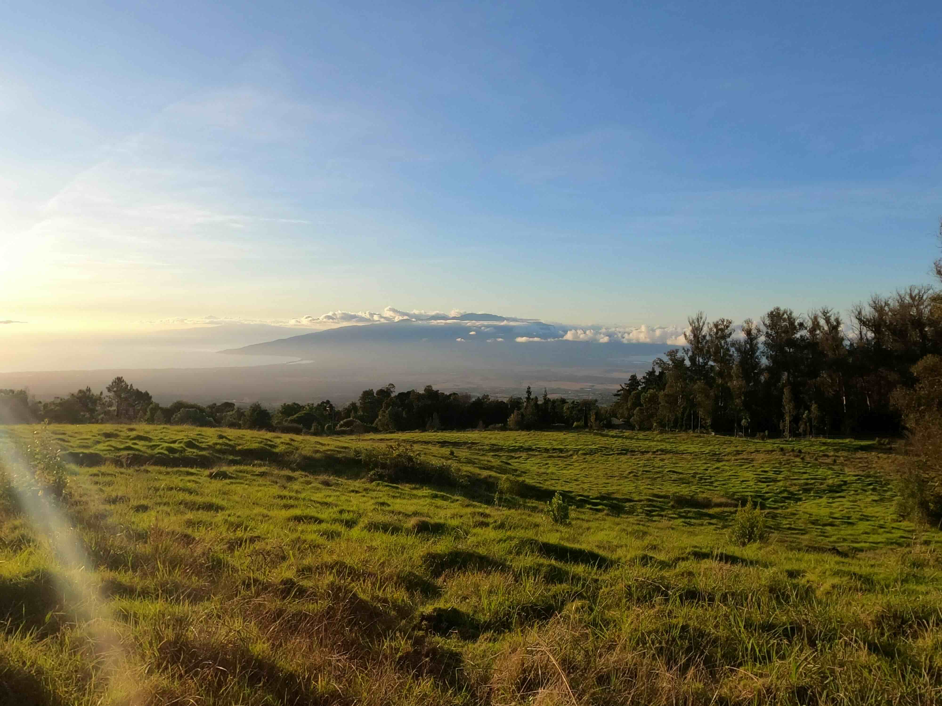 Open pasture at golden hour in Upcountry Maui, looking across the isthmus to the West Maui Mountains