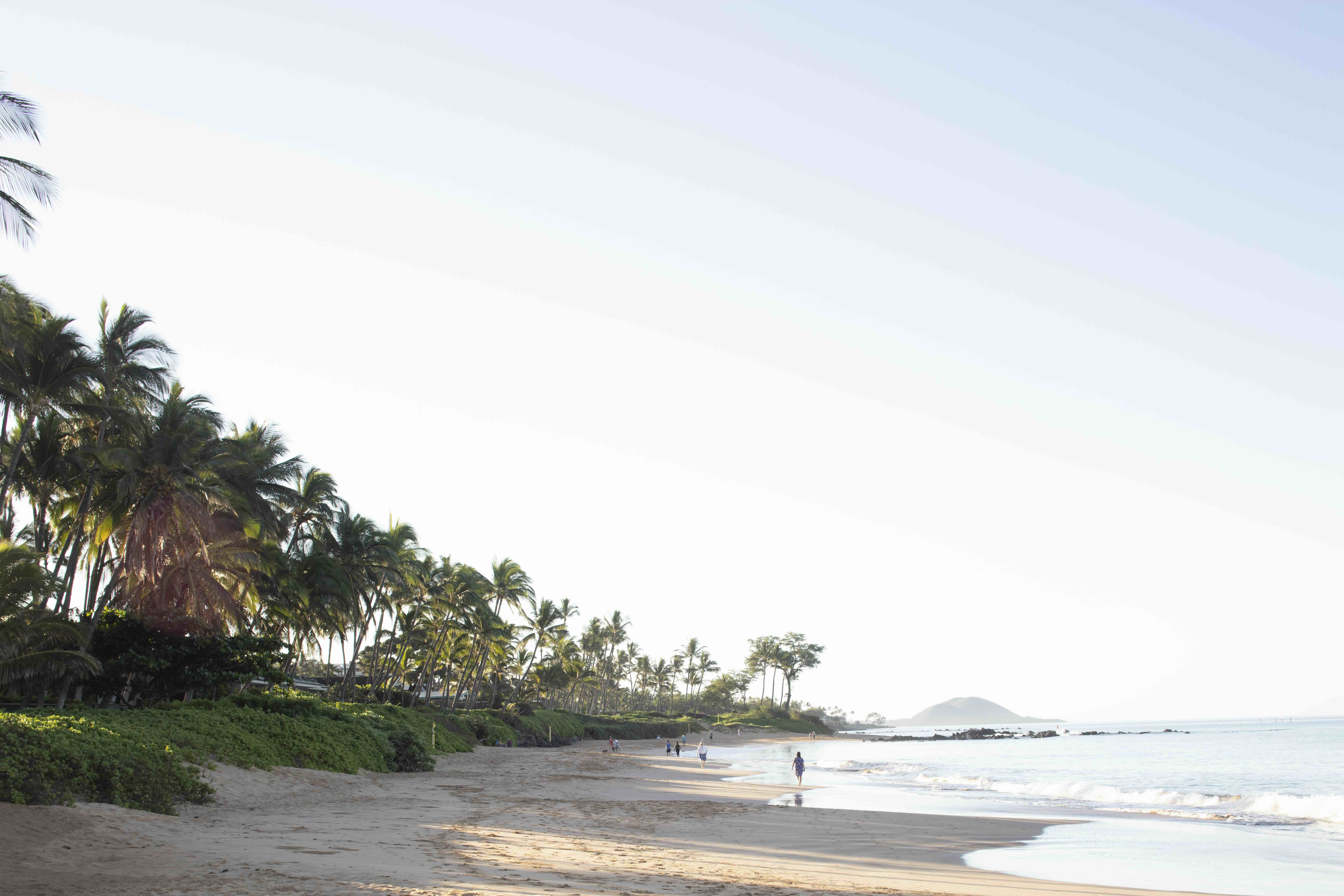 Empty morning sand curving along Keawakapu Beach in South Maui, with palms lining the shoreline and calm water offshore