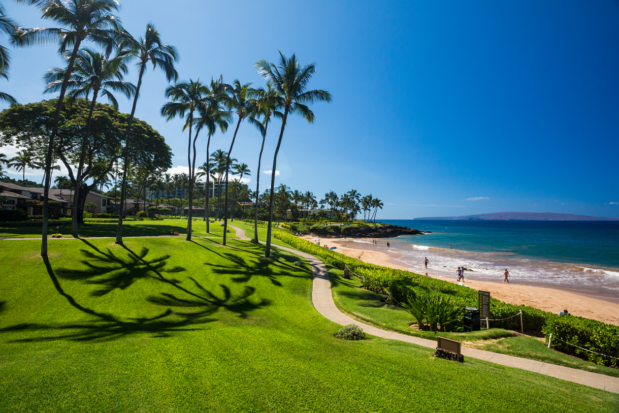 The paved Wailea shoreline path curving between palms and lawn above a South Maui beach, with the coast running south