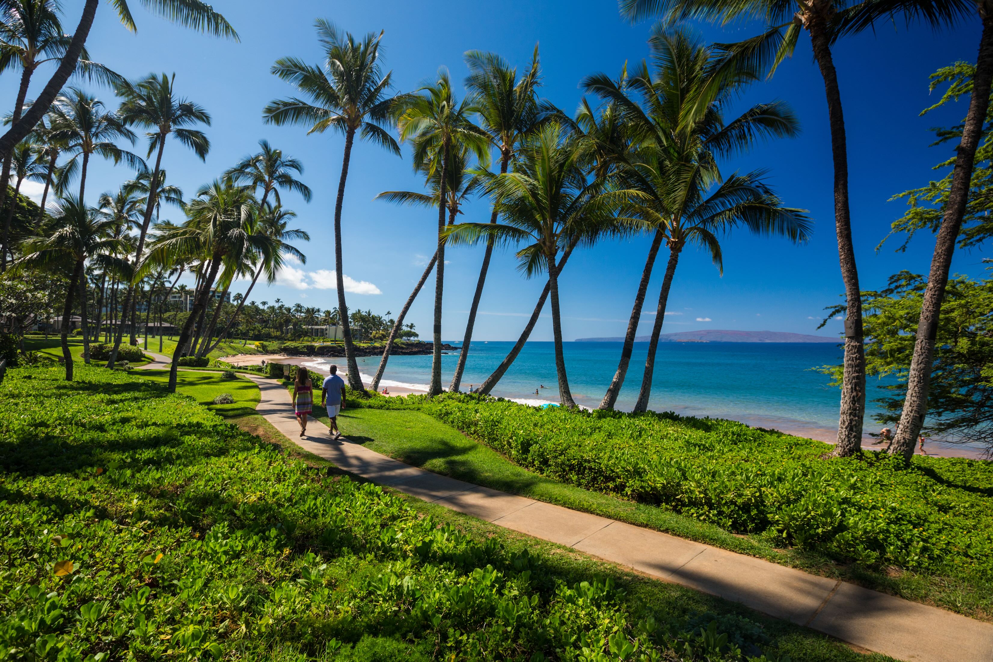 Two walkers on the paved Wailea Beach Path under leaning palms beside the ocean