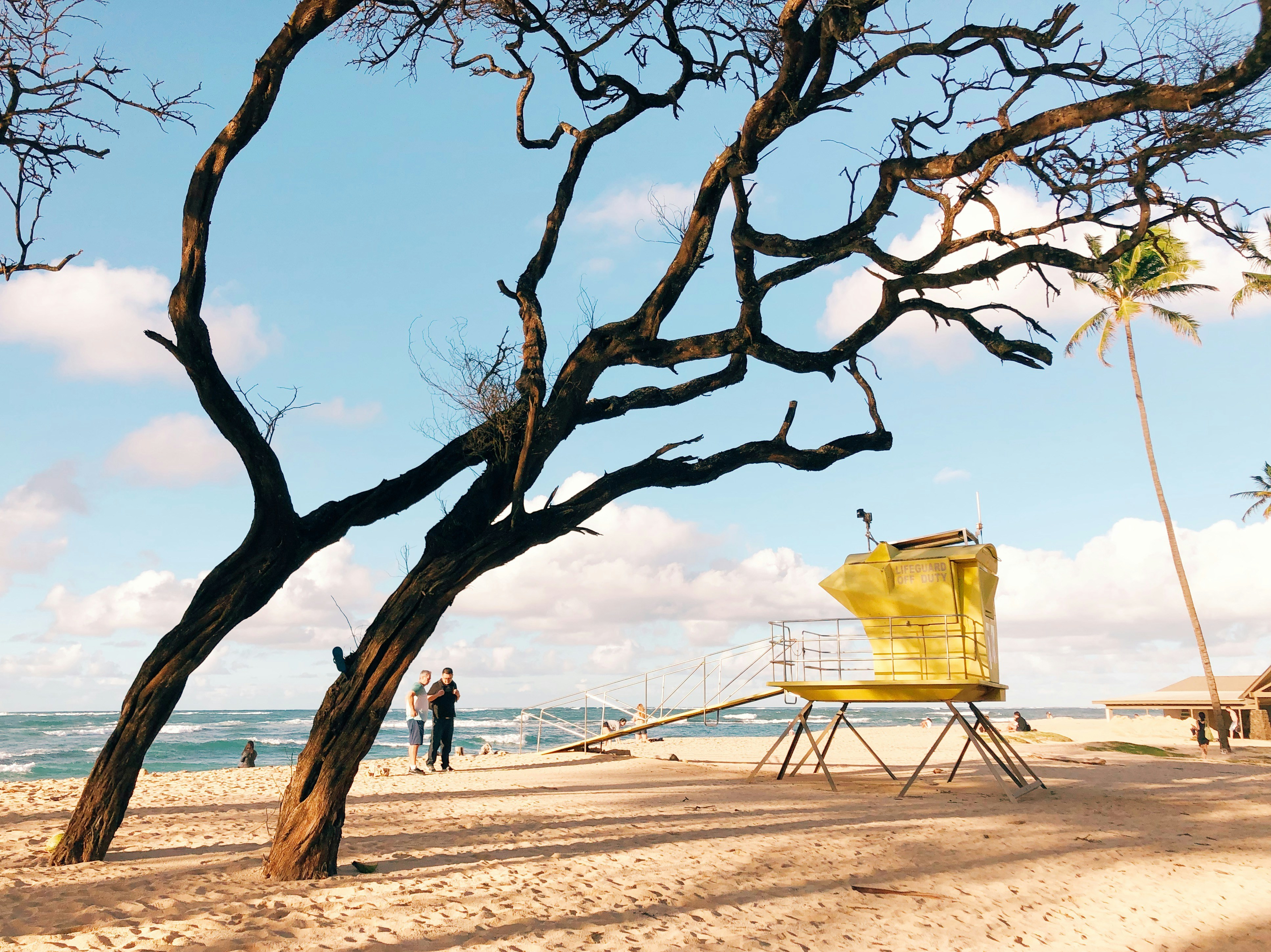 The yellow lifeguard tower at Baldwin Beach on the north shore, framed by a bare tree on the sand