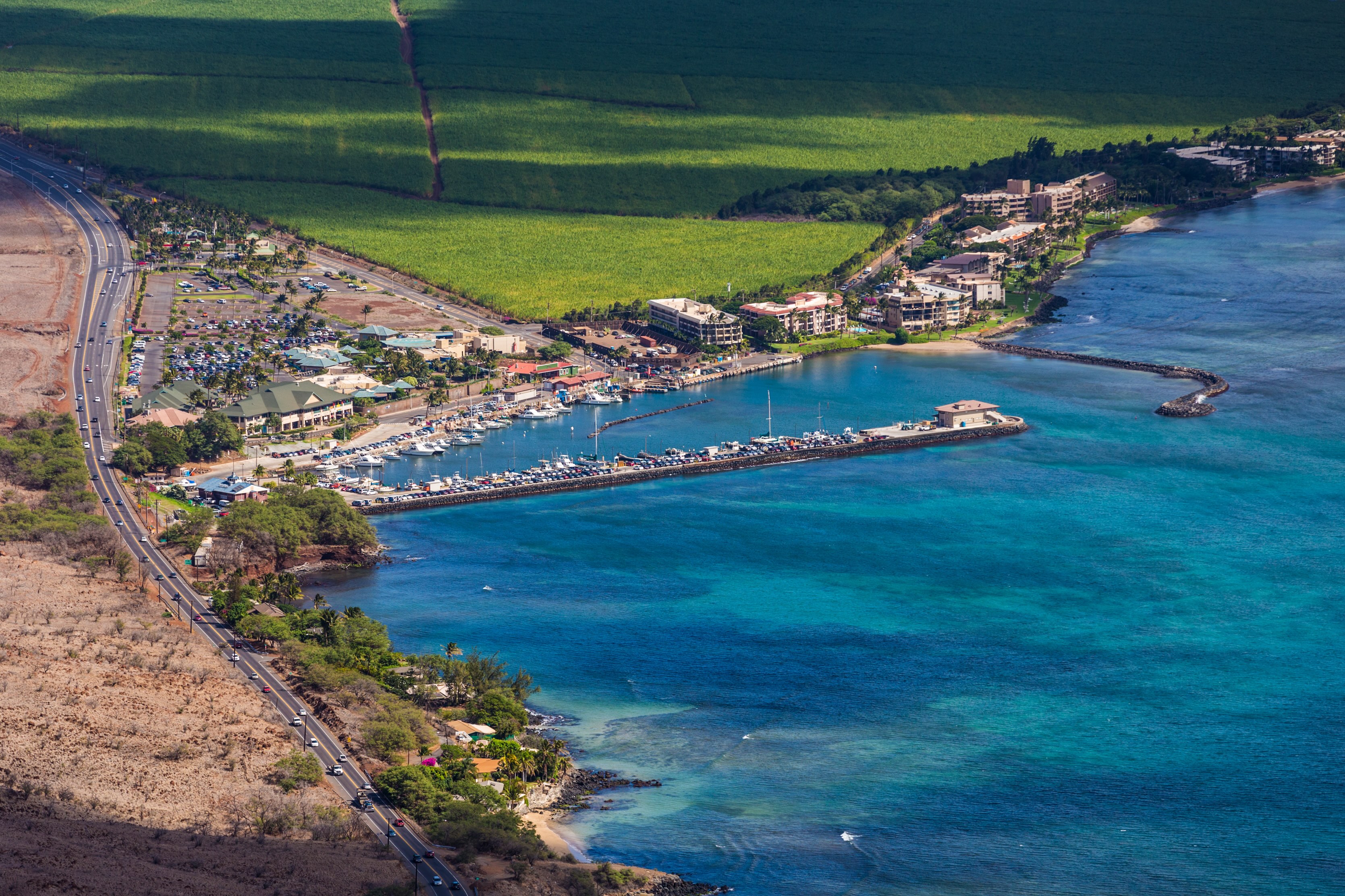 Maalaea Harbor from above, boats along the breakwater with green fields rising behind