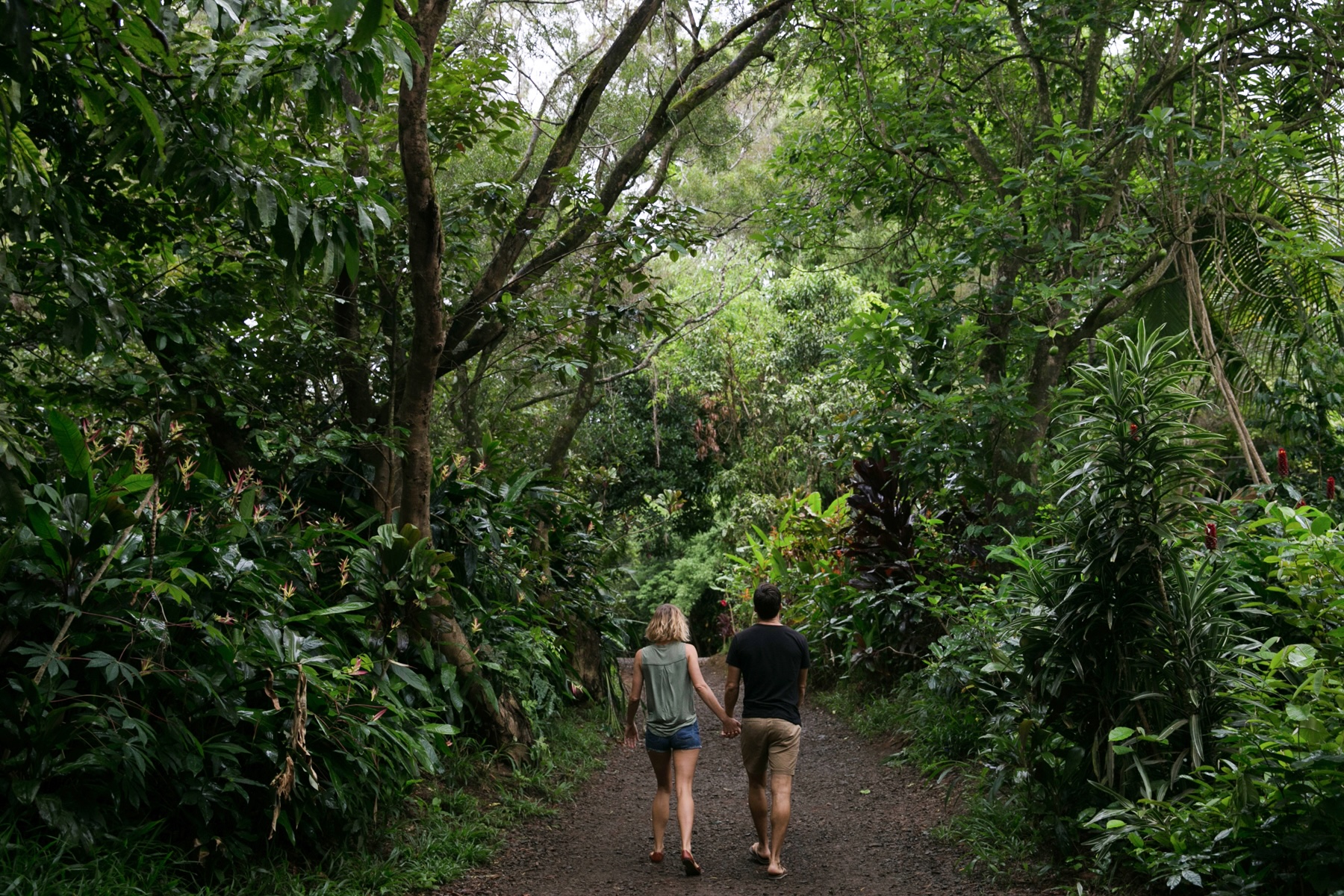 Hikers on the shaded farm path leading in to Twin Falls at the start of the Hāna Highway