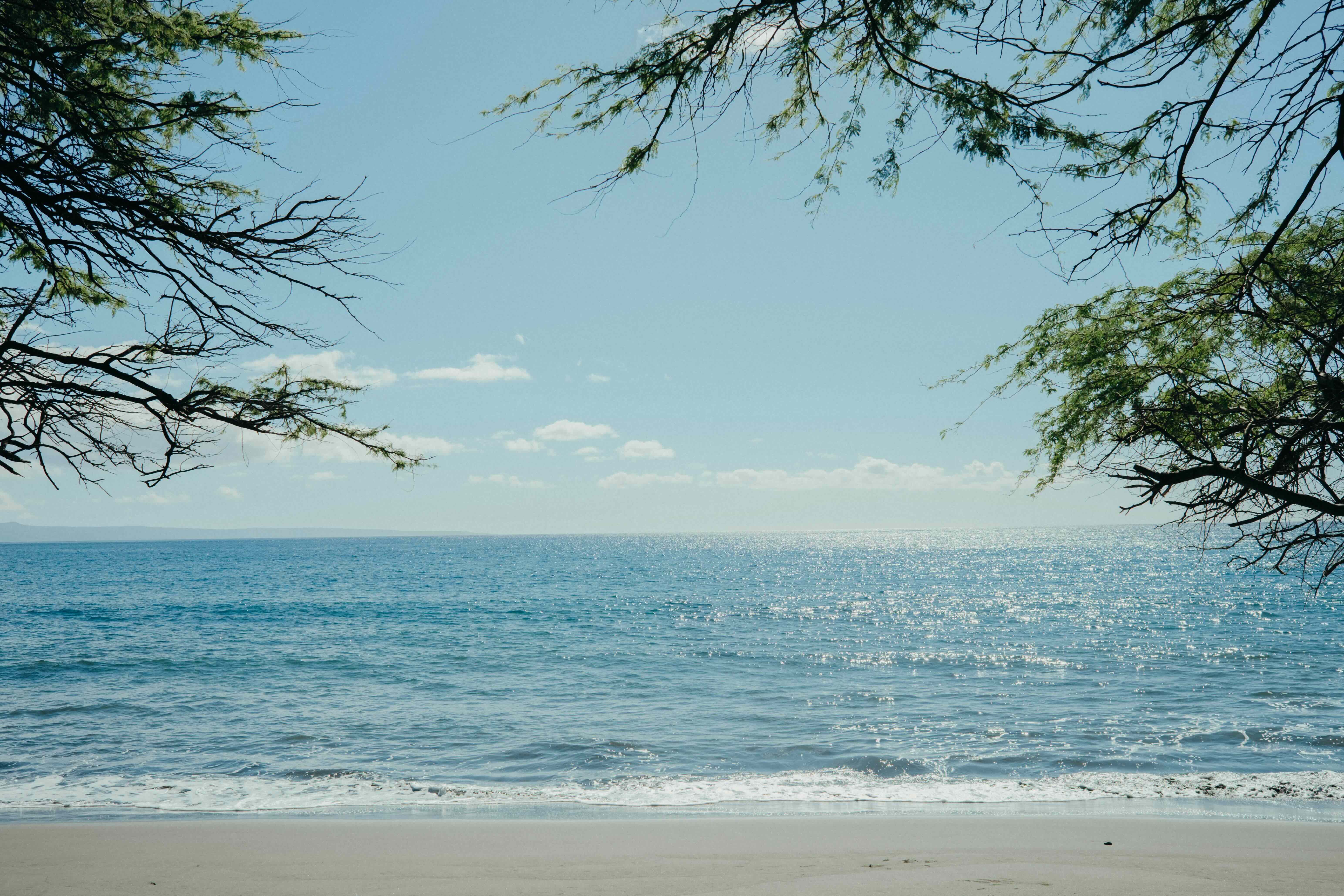 Open ocean and a rocky Maui shoreline under afternoon light