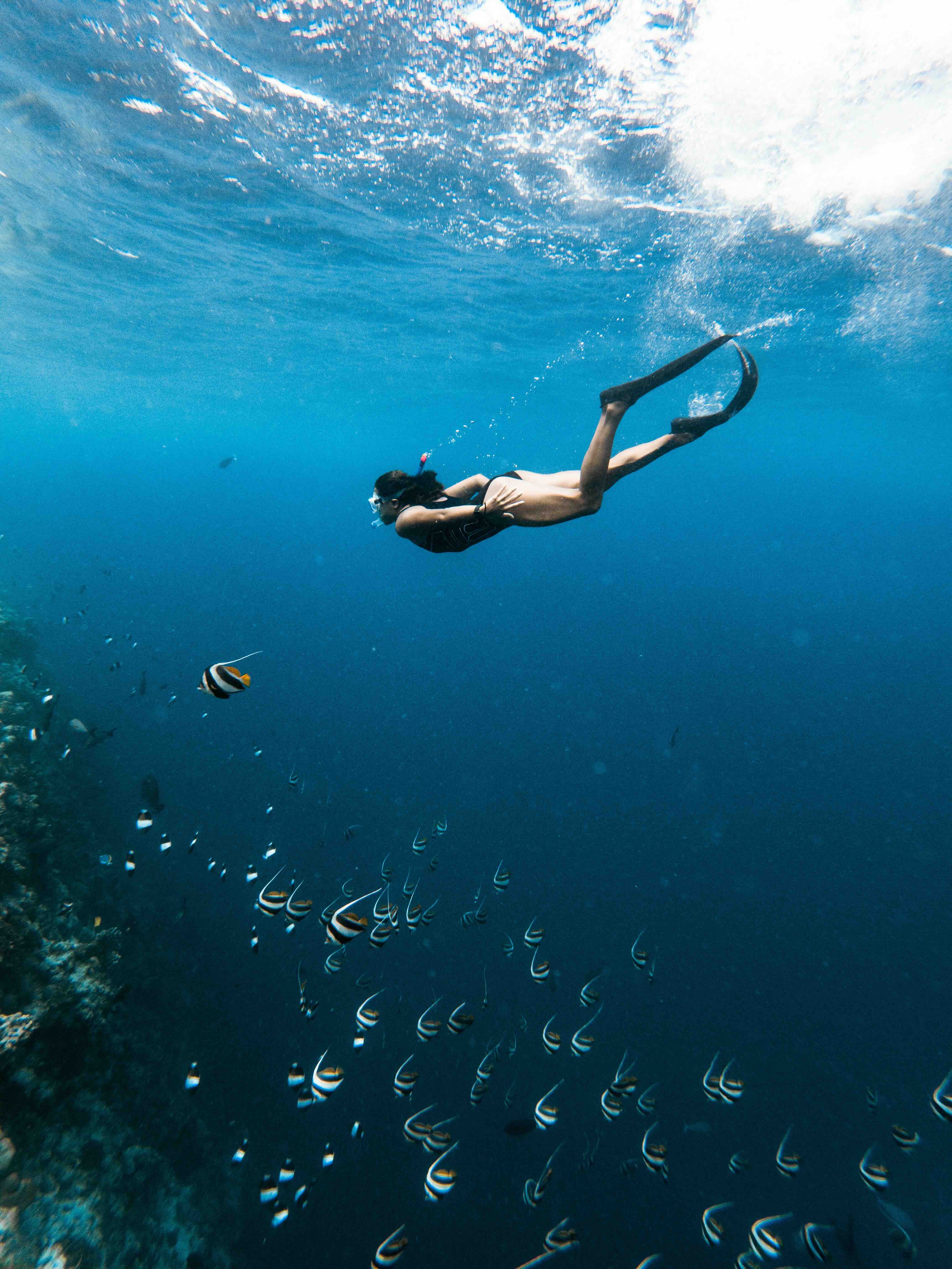 A single snorkeler floating face-down at the surface in clear shallow water