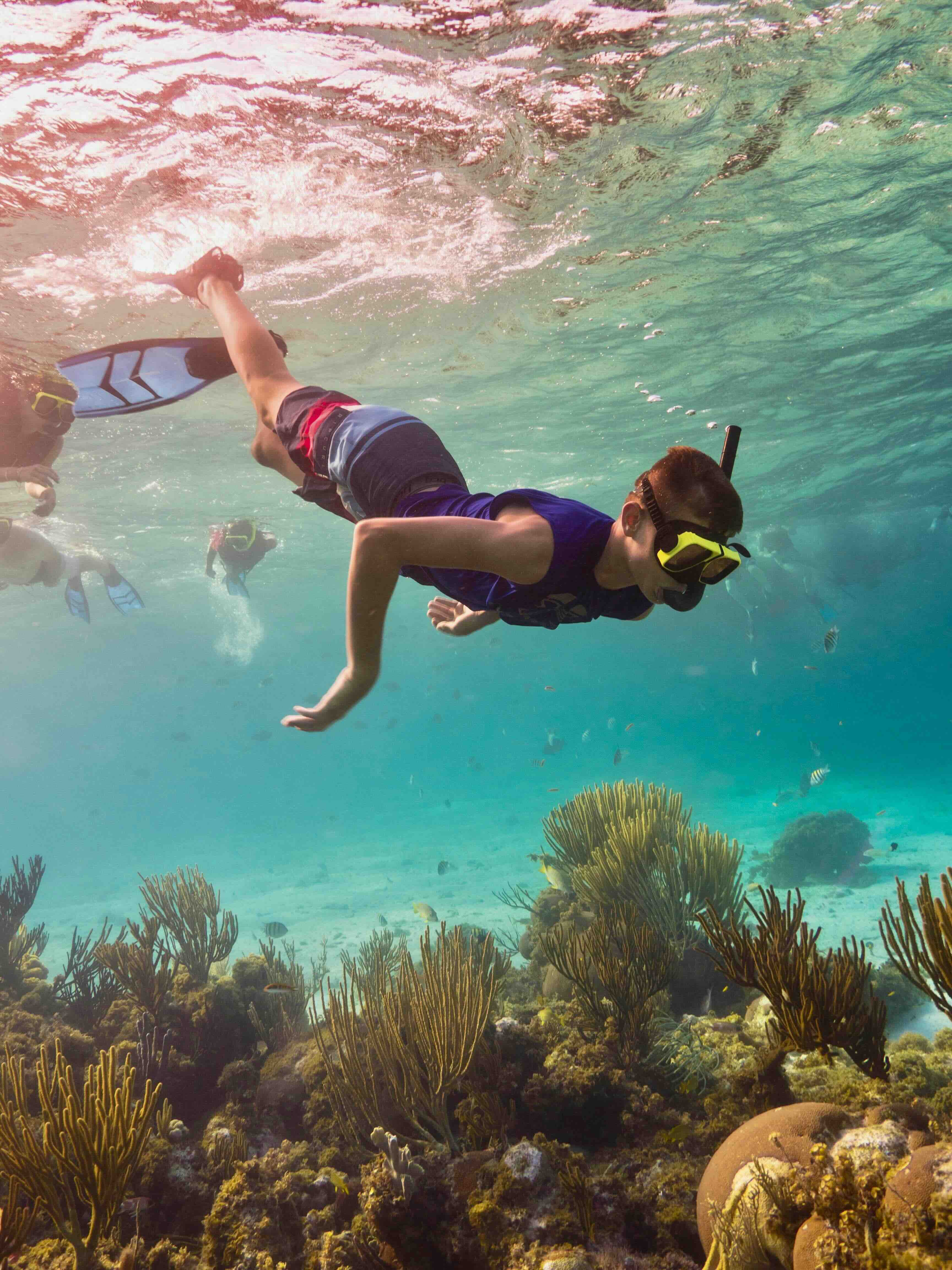 A snorkeler seen from below, finning slowly above a shallow reef