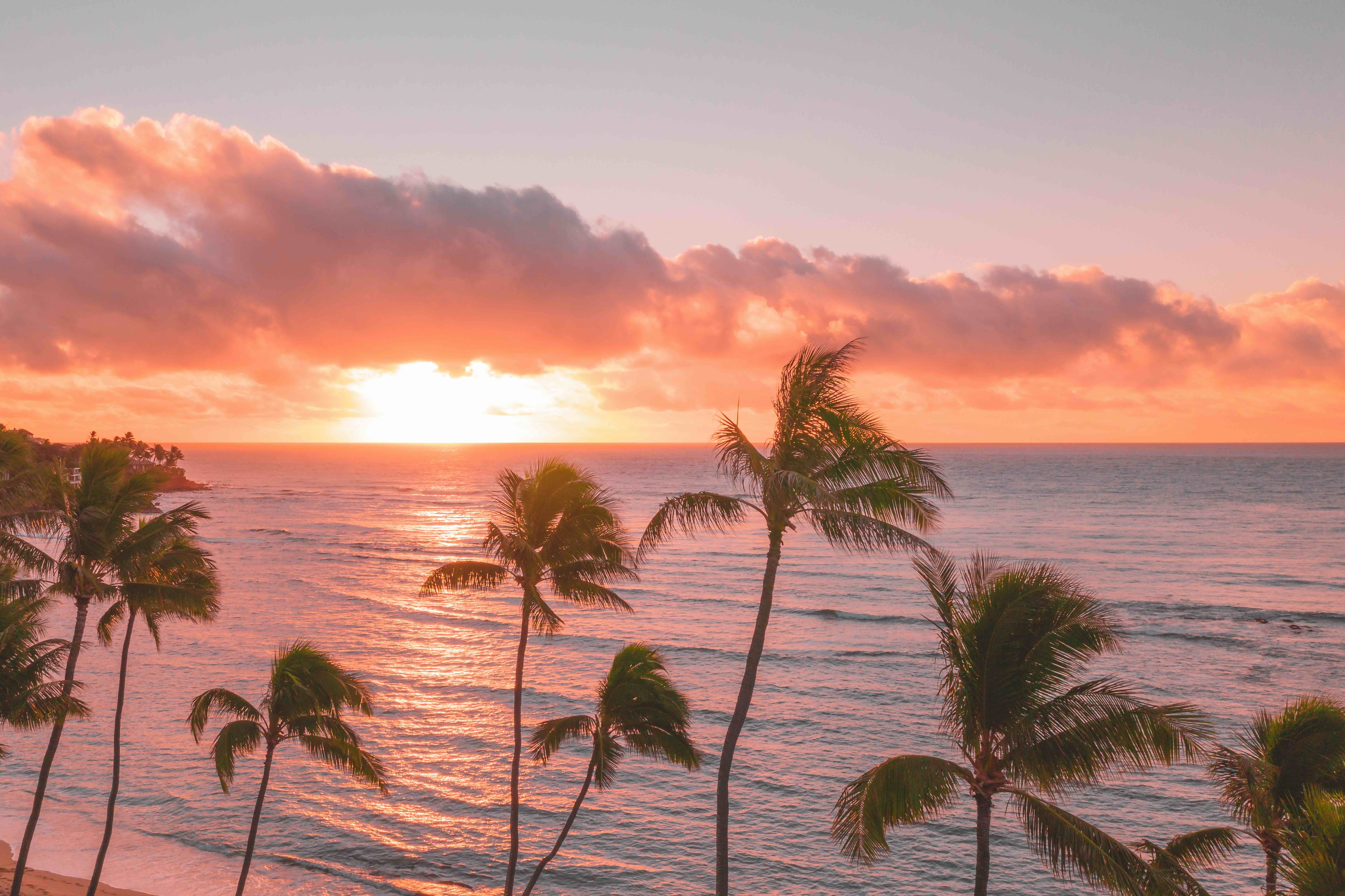 Palm trees in silhouette against an orange Maui sunset over the water