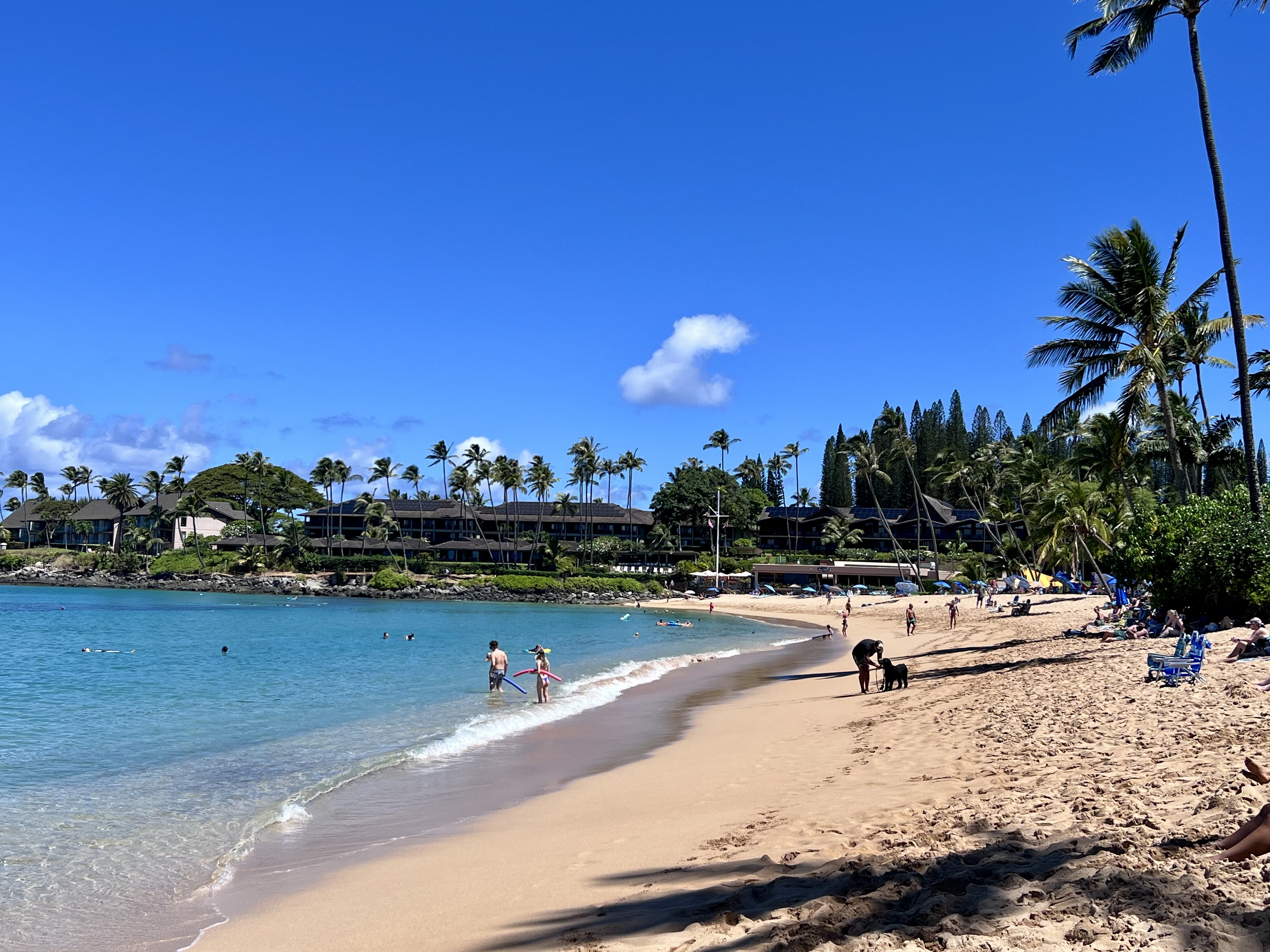 The curve of sand at Nāpili Bay with people at the water's edge and low condo buildings among palms behind the beach
