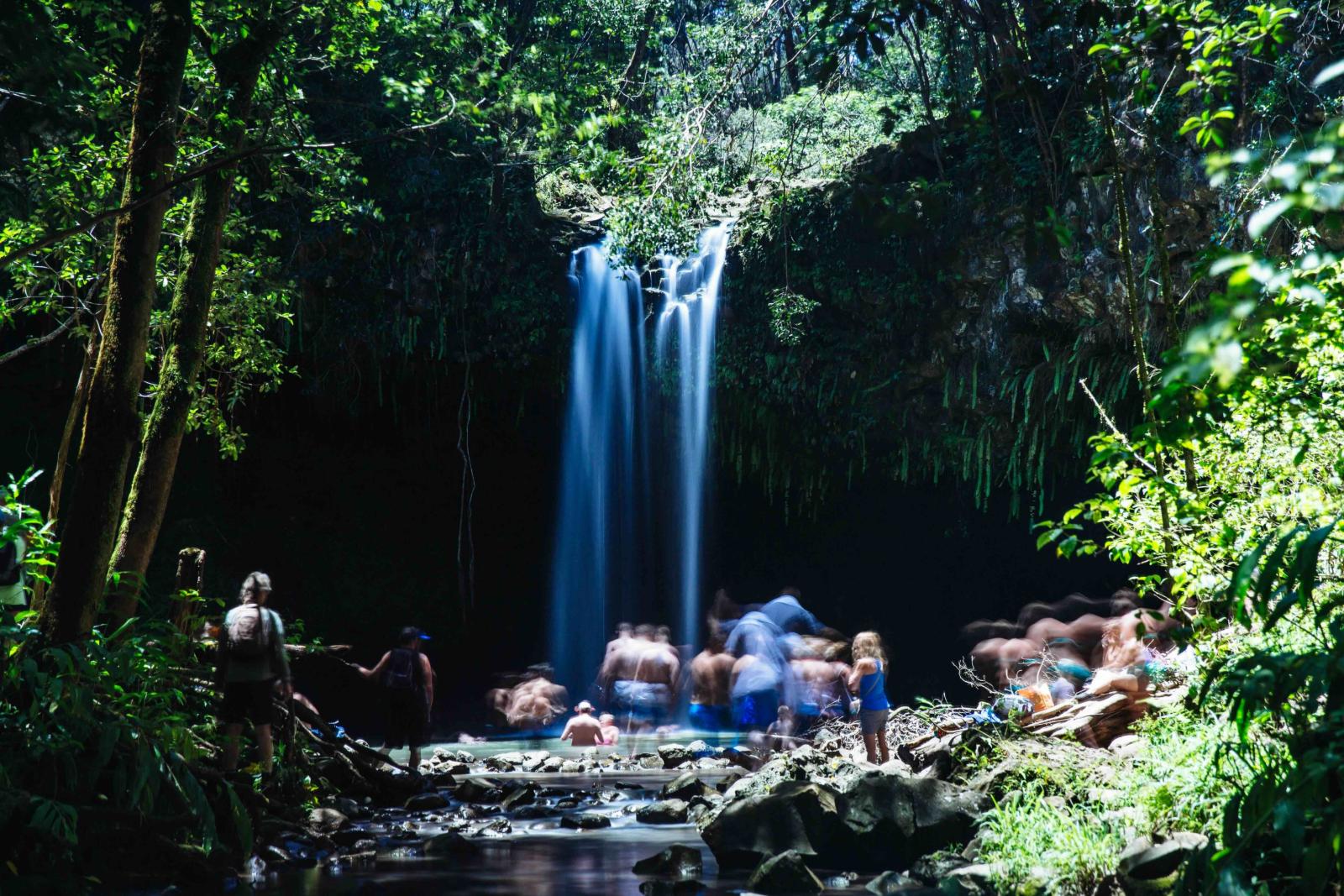 A tall Maui waterfall dropping into a pool surrounded by dense rainforest