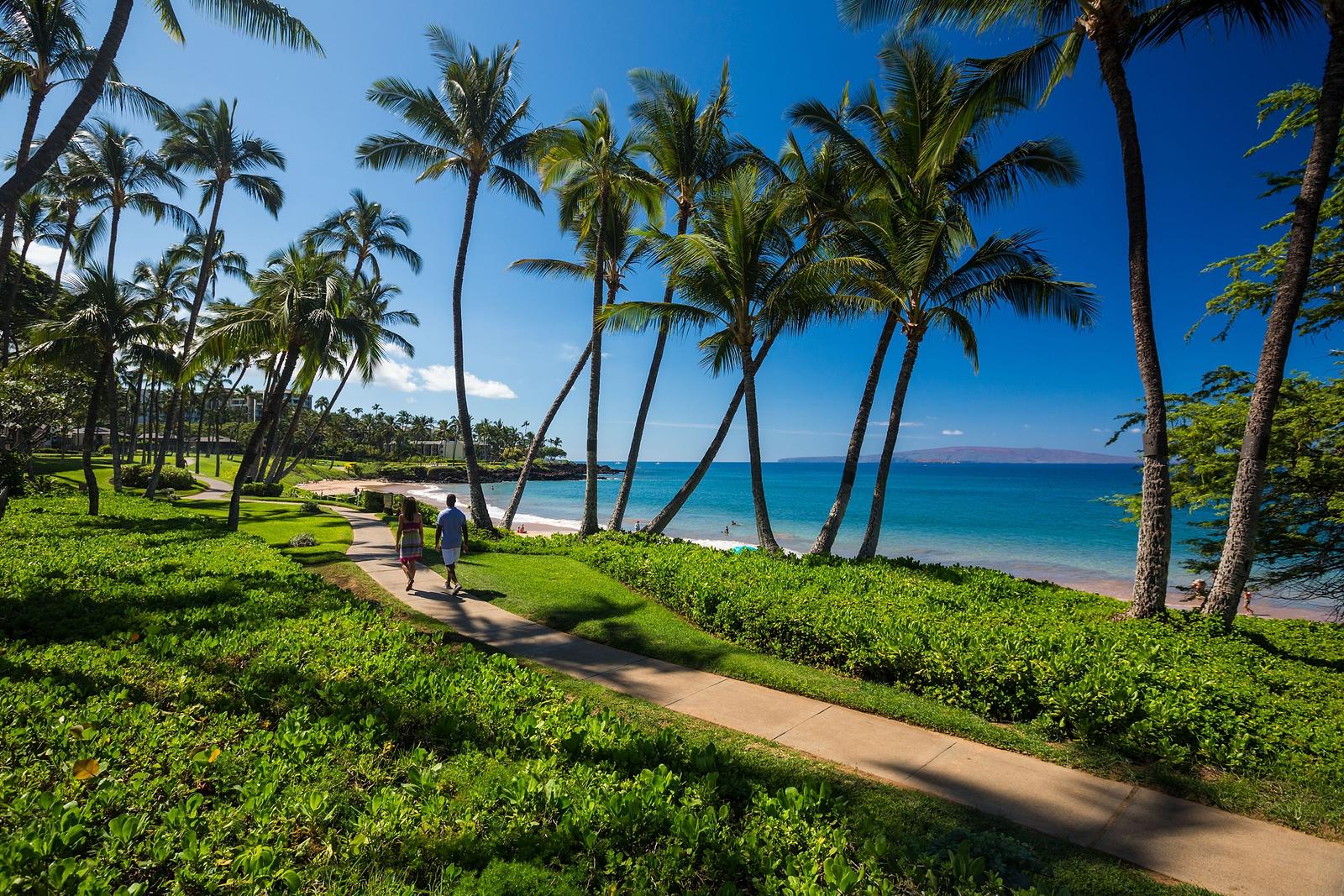 Two walkers on the paved Wailea Beach Path under leaning palms beside the ocean