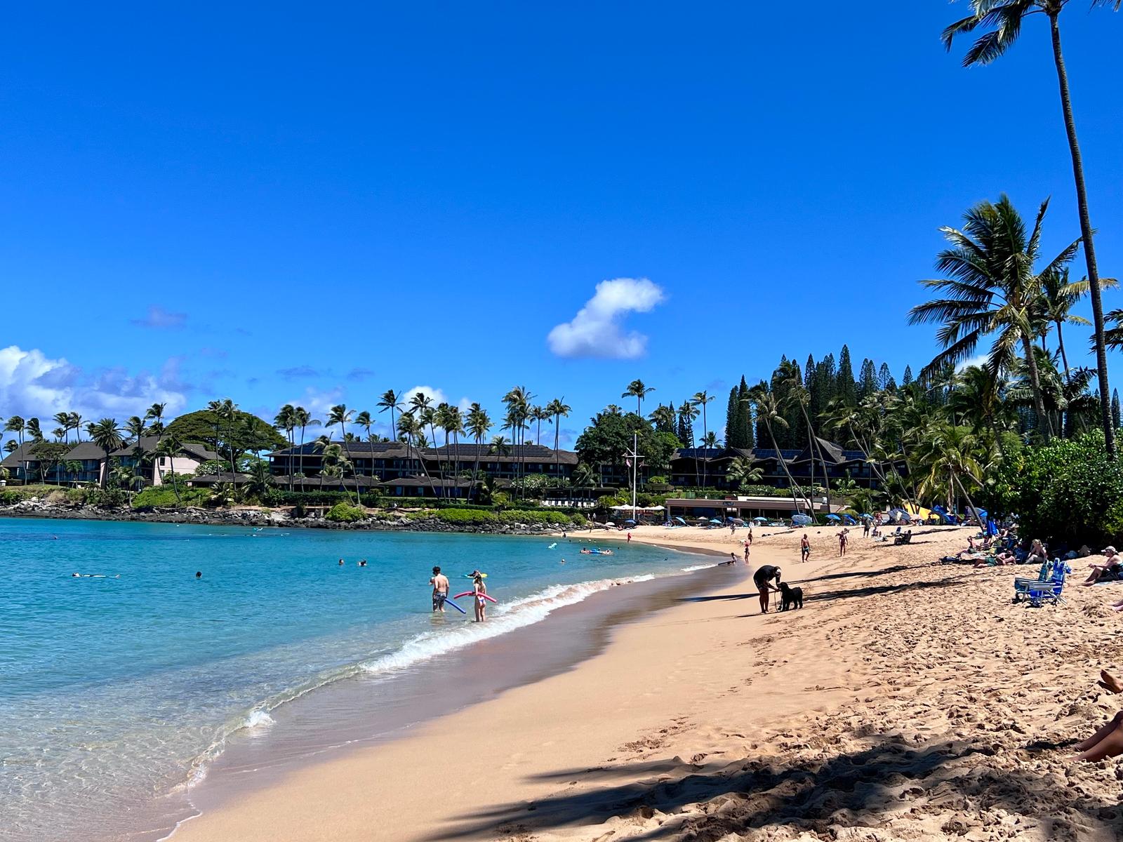 Nāpili Bay's crescent of sand and calm water, with low-rise resorts and palms along the shore