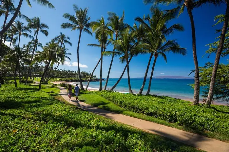 Two walkers on the paved Wailea Beach Path under leaning palms beside the ocean