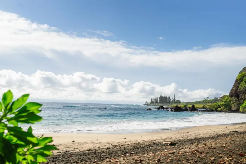 Hamoa Beach near Hāna: gray sand, turquoise surf, dark lava rocks and a point of tall pines under white clouds, with green leaves in the foreground
