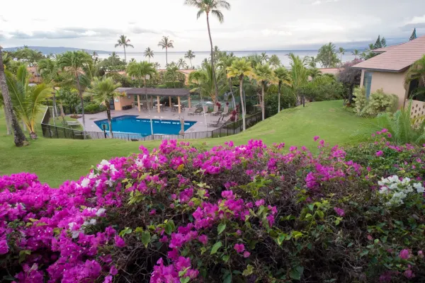 Wailea Ekahi, Maui