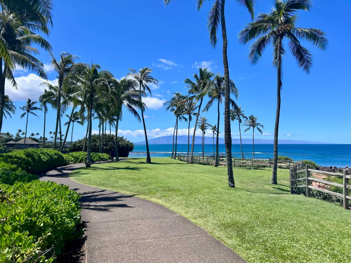 The paved Kapalua Coastal Trail curving across mown lawn between tall coconut palms, with a rail fence and the ocean beyond